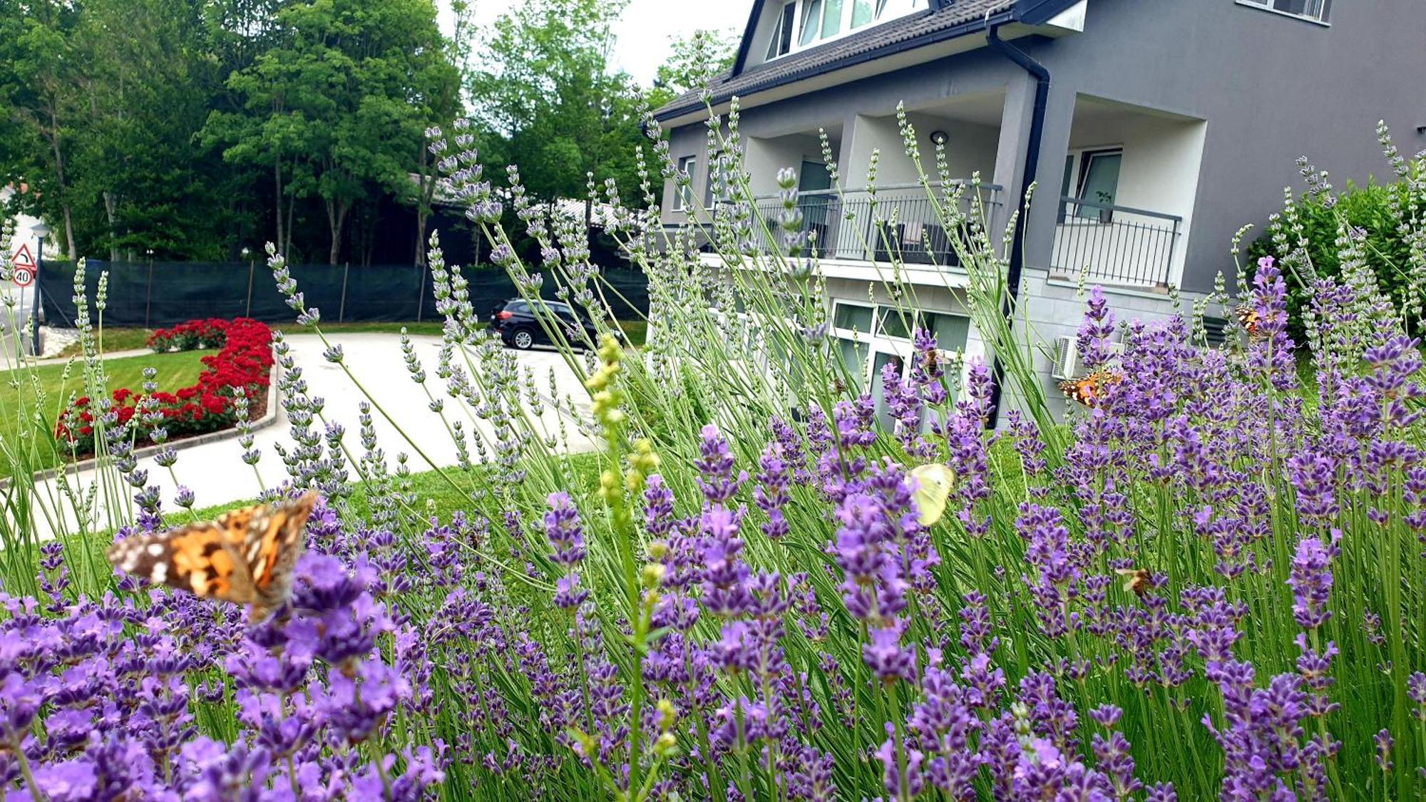 Apartmani Sanja Krapinske Toplice Exterior photo